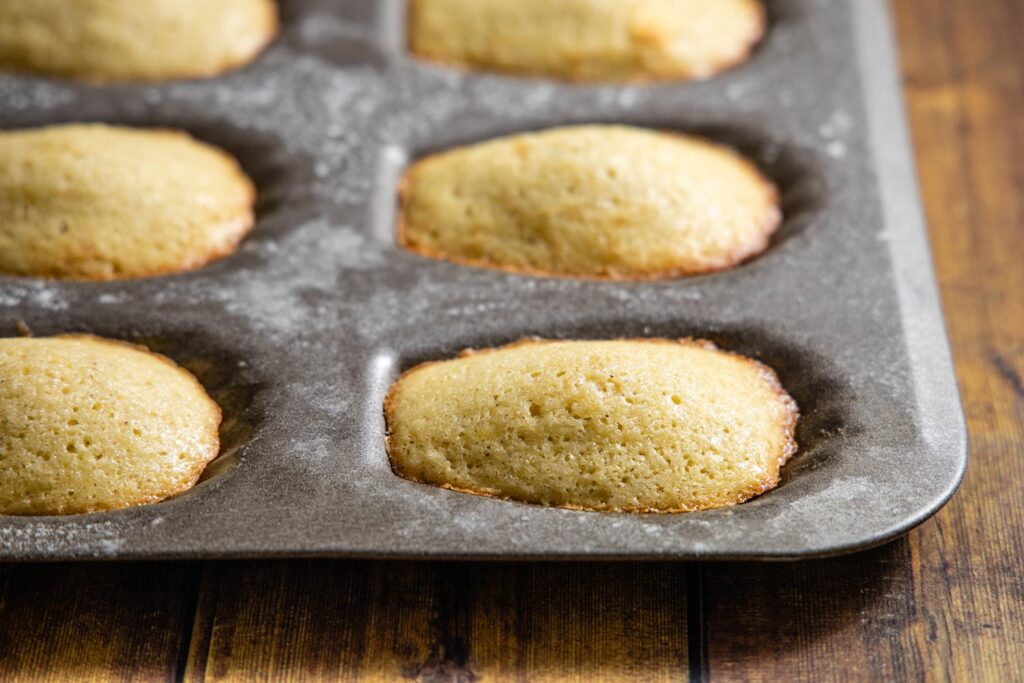 baked madeleines cooling in the pan