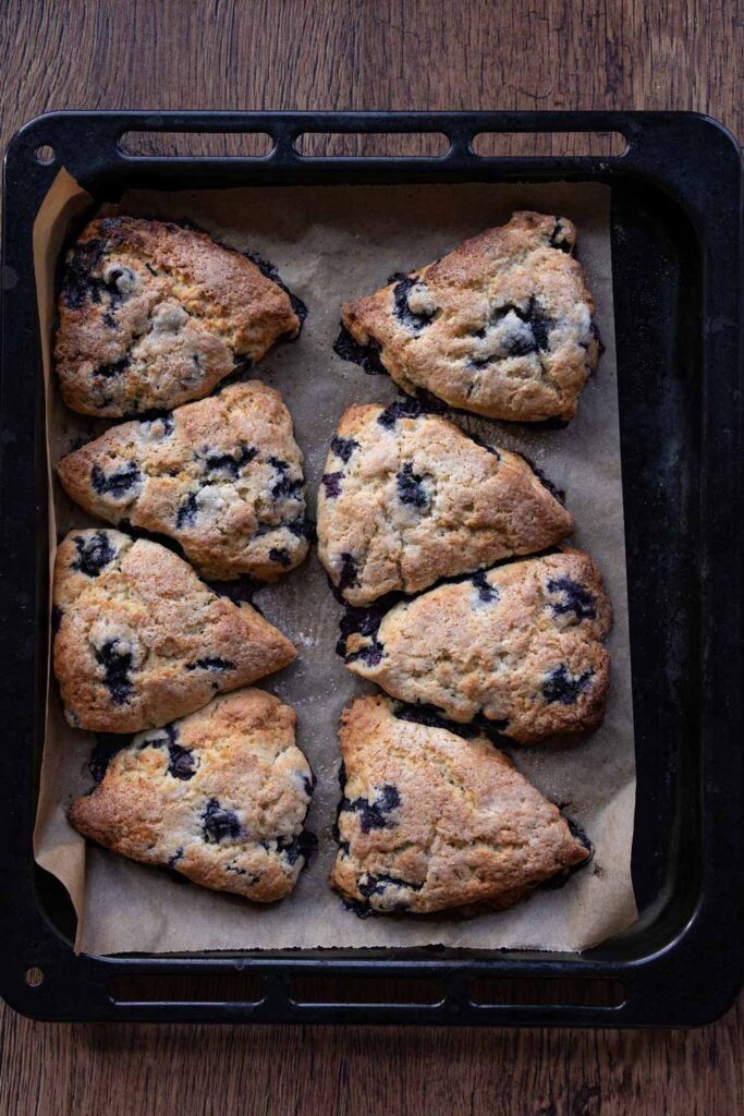Blueberry lavender scones on a baking tray